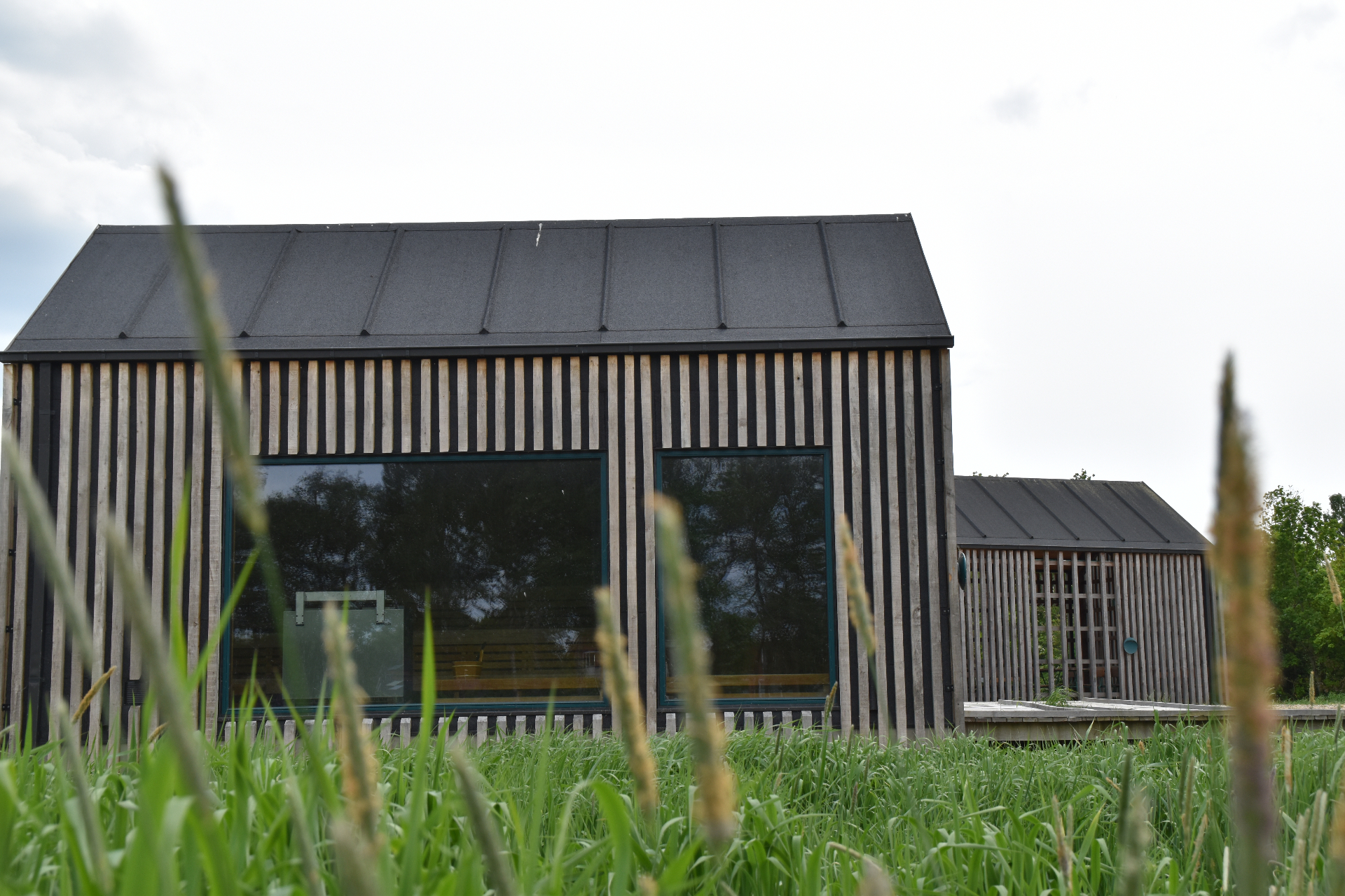 Reset Walks — grounding i hvert skridt